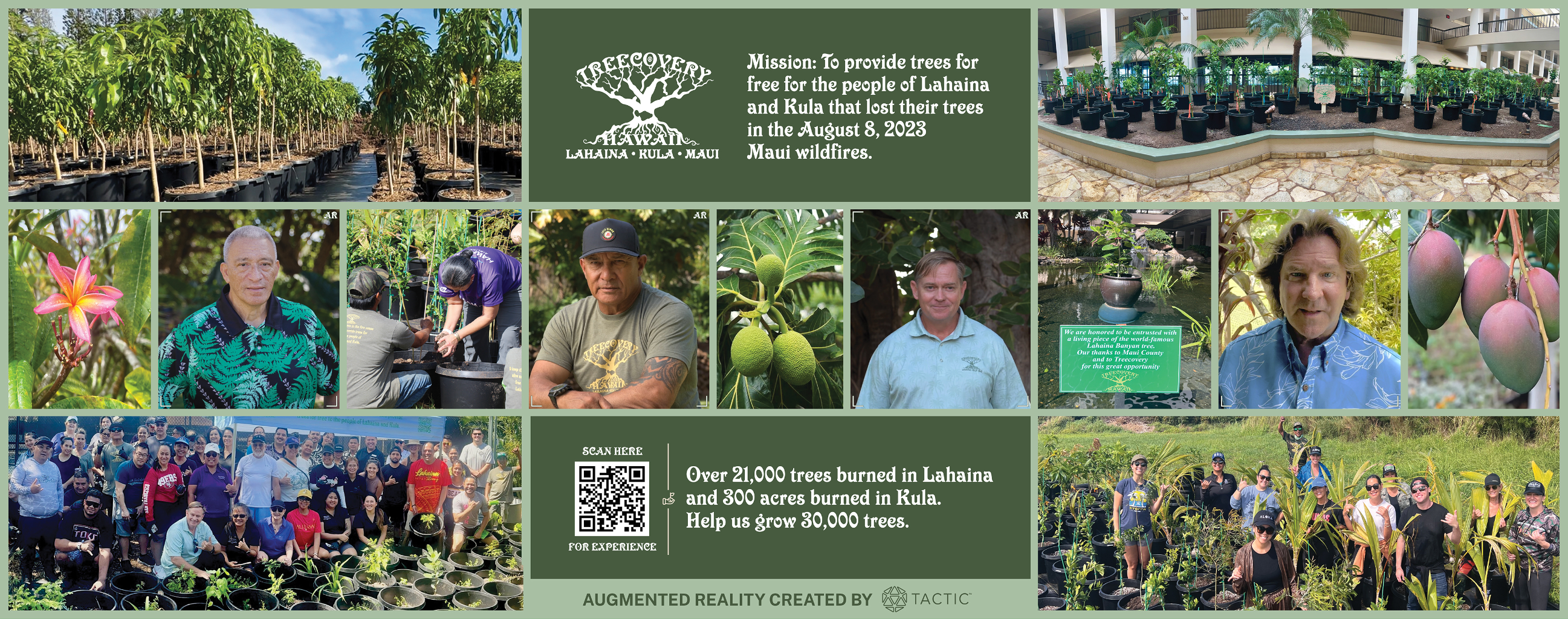 Hawaii Tree Recovery Banner
